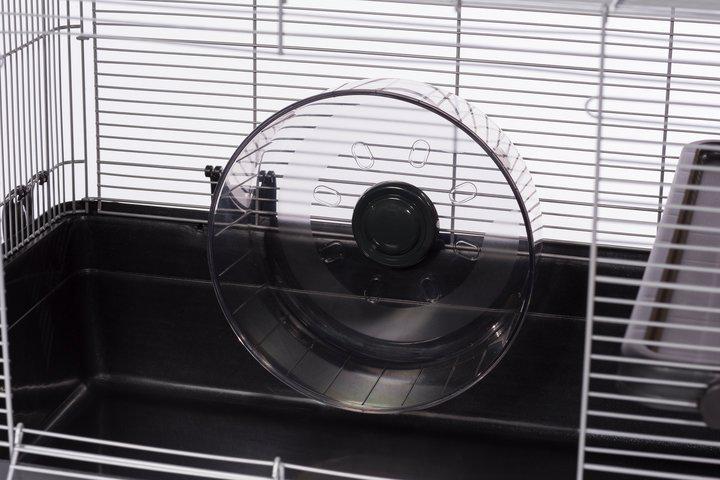 Rueda de Ejercicios Silenciosa 