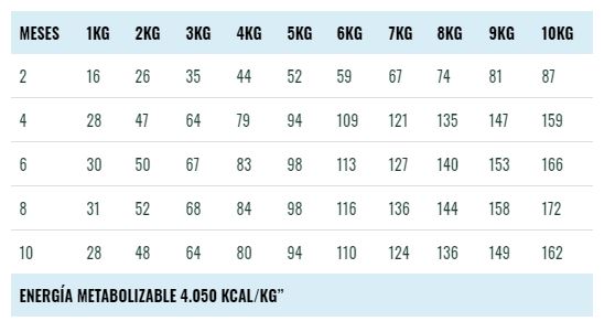 Bravery Cachorro Pollo Razas Pequeñas