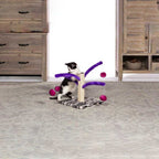 Rascador Bounce Spring para Gatos