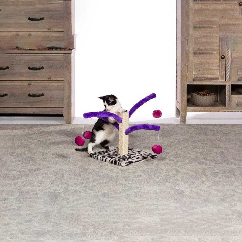 Rascador Bounce Spring para Gatos