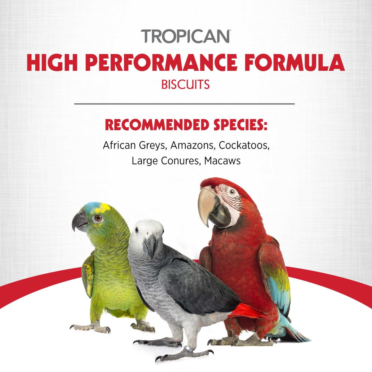 Tropican High Performance Croquetas para Loros
