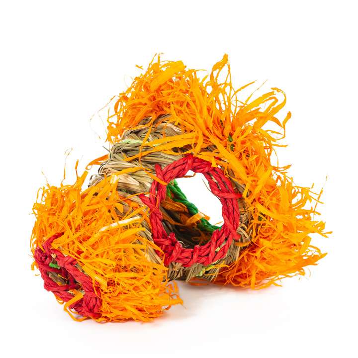 Refugio de Pasto Fiesta