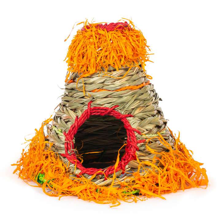 Refugio de Pasto Fiesta