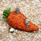 Refugio de Pasto Zanahoria