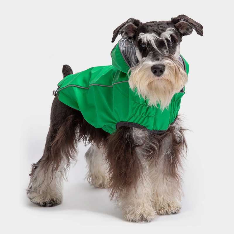 Impermeable Reversible Verde para Perros - M