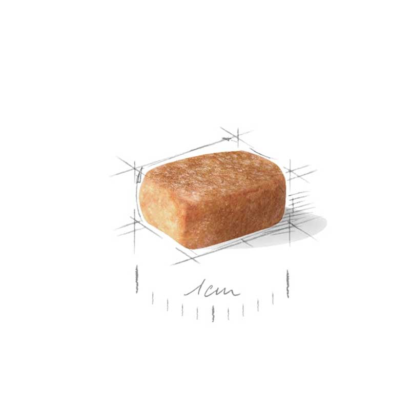 Royal Canin Chihuahua Puppy 1,5 Kg