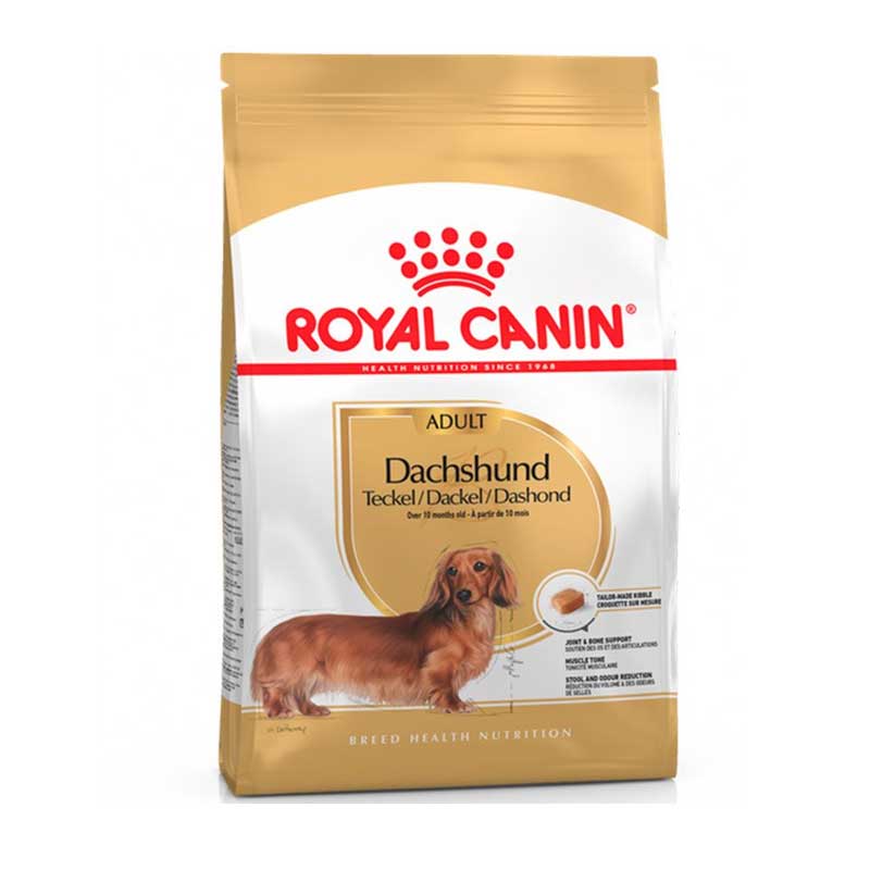 Royal Canin Dachshund Adulto