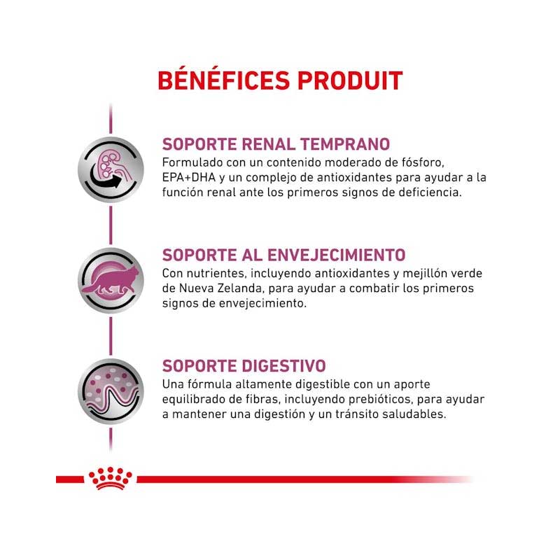 Royal Canin Early Renal para Gatos 1,5