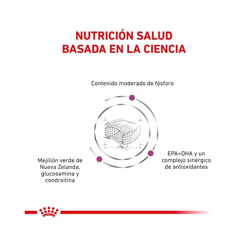 Royal Canin Early Renal para Gatos 1,5