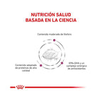 Royal Canin Early Renal para Perros 2 Kg