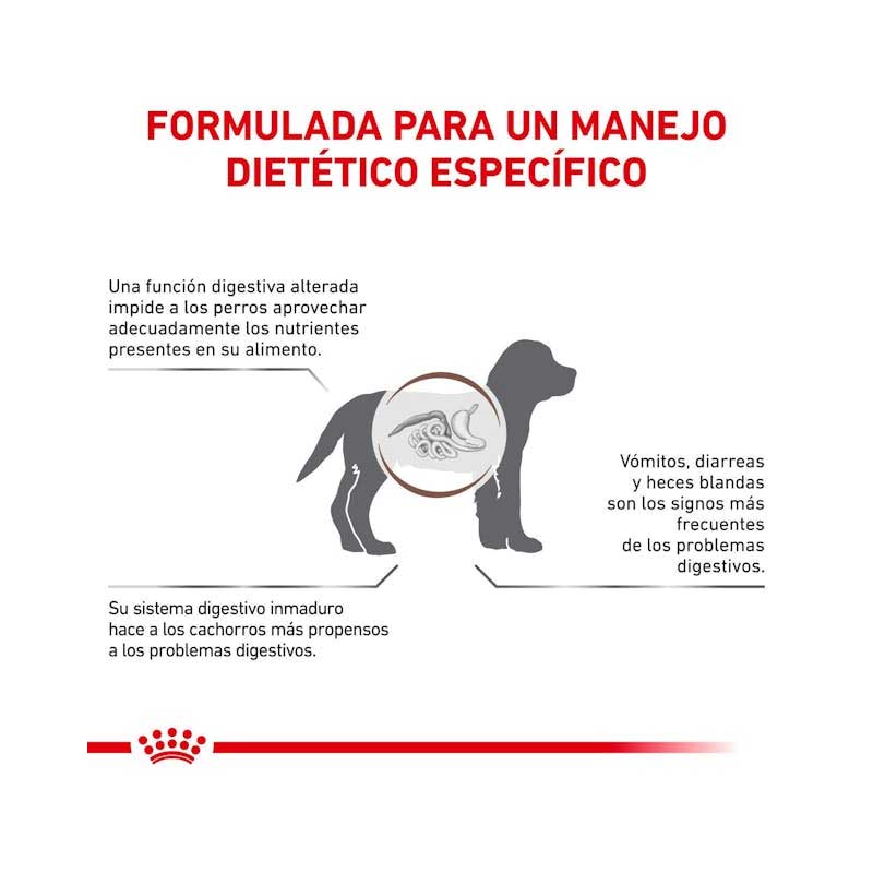 Royal Canin Gastrointestinal Puppy 1 Kg