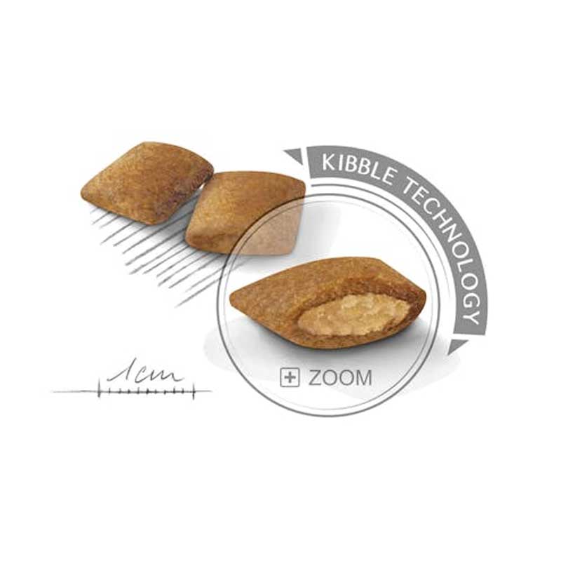 Royal Canin Mini Exigent - 3 Kg