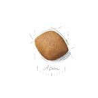 Royal Canin Pomeranian Adulto 1,5 Kg