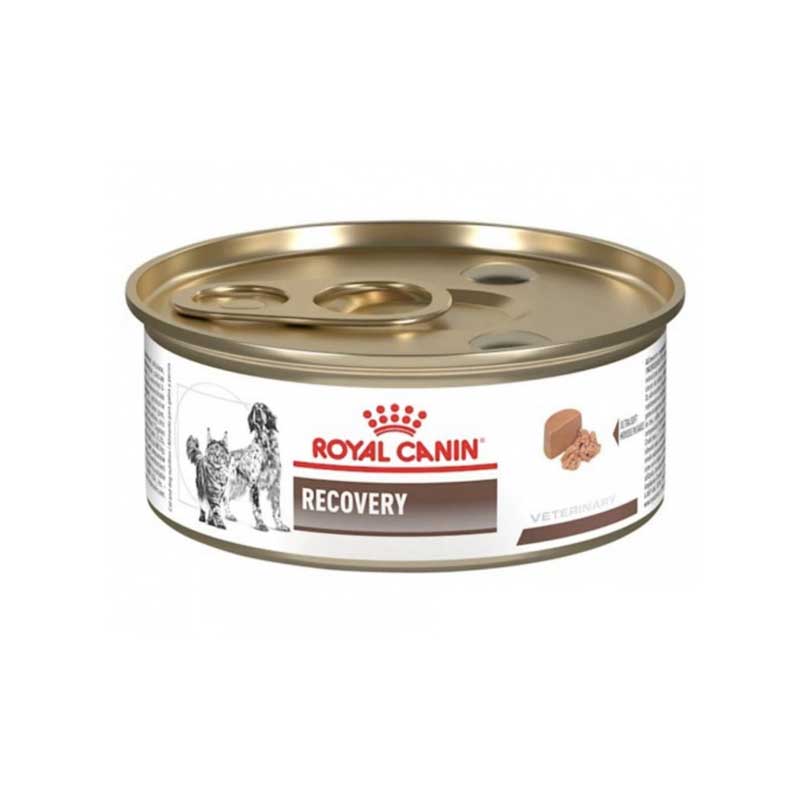Royal Canin Recovery Lata para Perros y Gatos