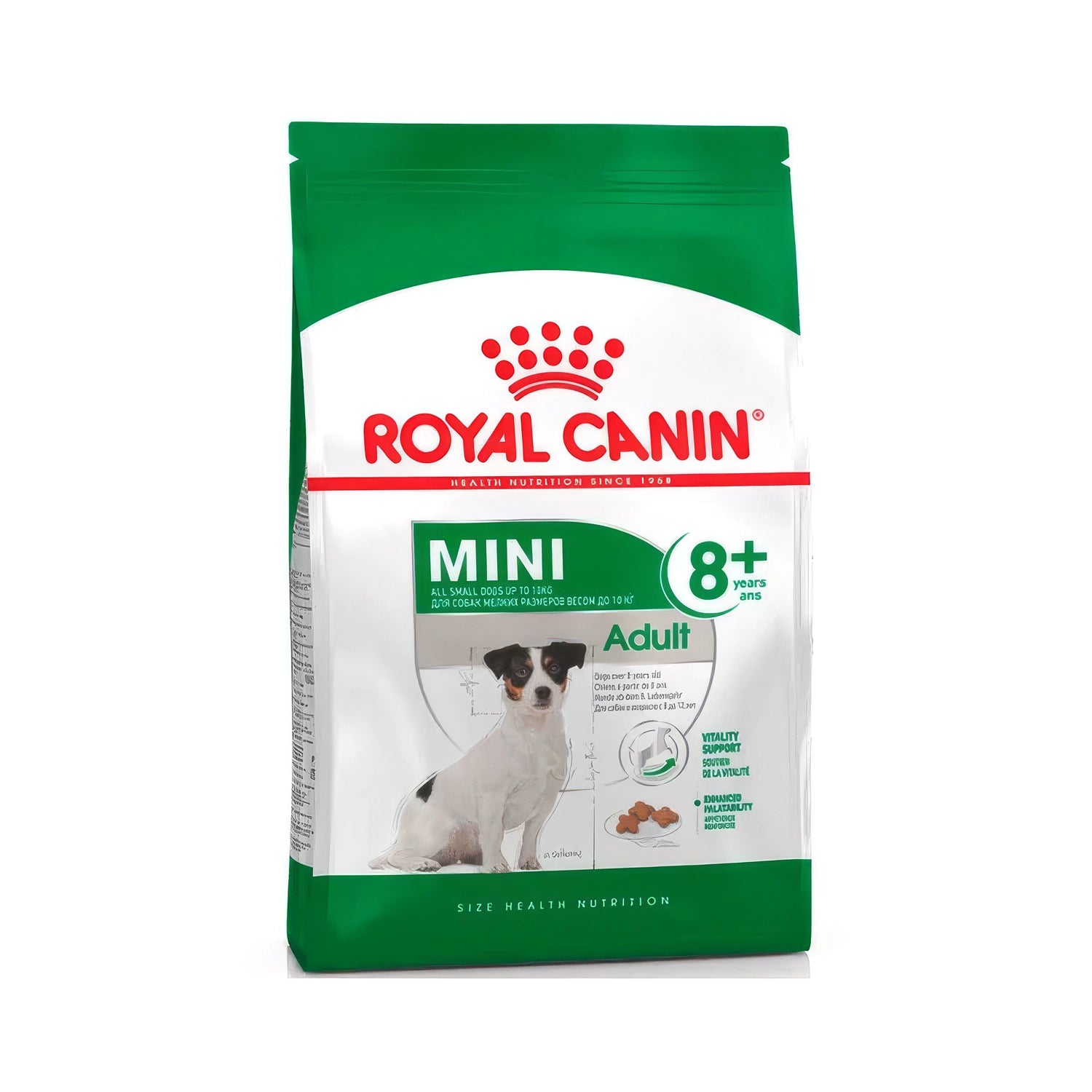 Bolsa de Royal Canin Mini Perro Adulto +8 comida para perros mayores de raza pequeña con diseño verde y croquetas visibles