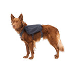 Alforja "Front Range" Day Pack Ruffwear