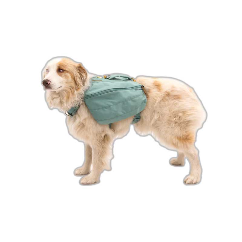 Alforja "Front Range" Day Pack Ruffwear