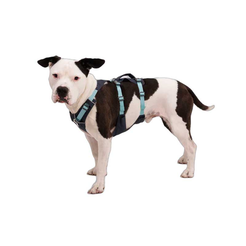 Arnés "Flagline" Ruffwear para Perros - Salmon Pink / Medium