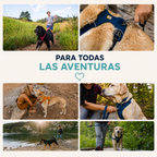 Arnés para Perros "Front Range" Ruffwear, con acolchado, cuatro puntos de ajuste y anillo metálico para correa.