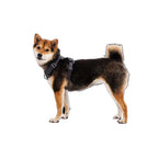 Arnés para Perros "Front Range" Ruffwear