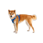 Arnés para Perros "Front Range" Ruffwear