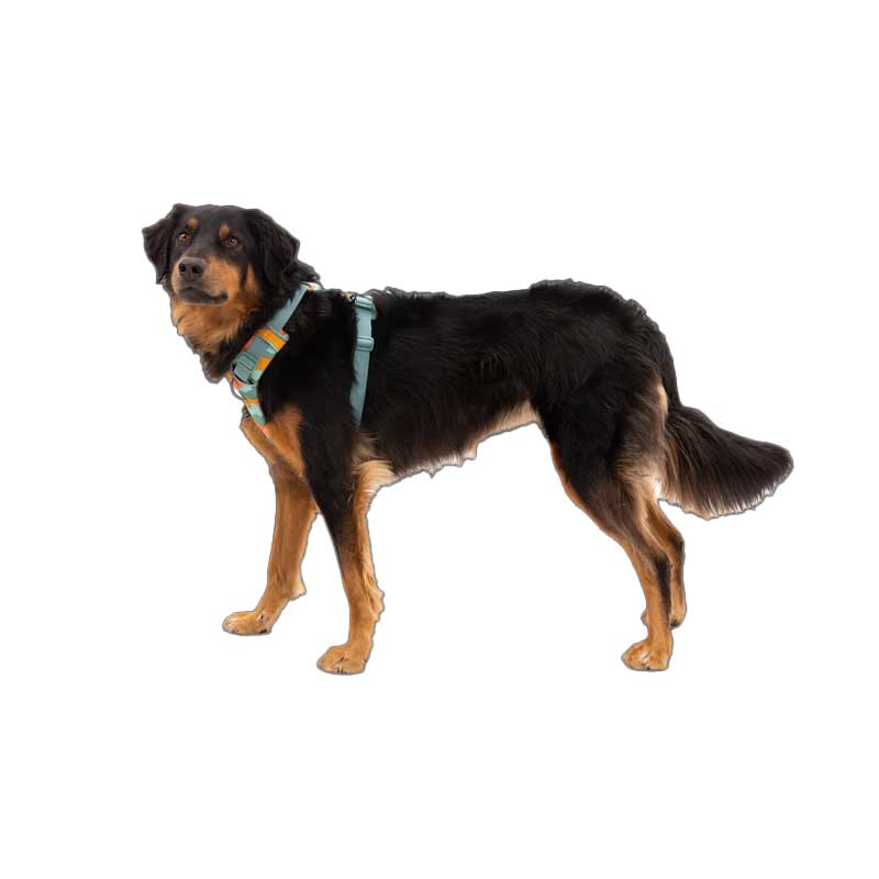 Arnés para Perros "Front Range" Ruffwear - XS / Blue Moon