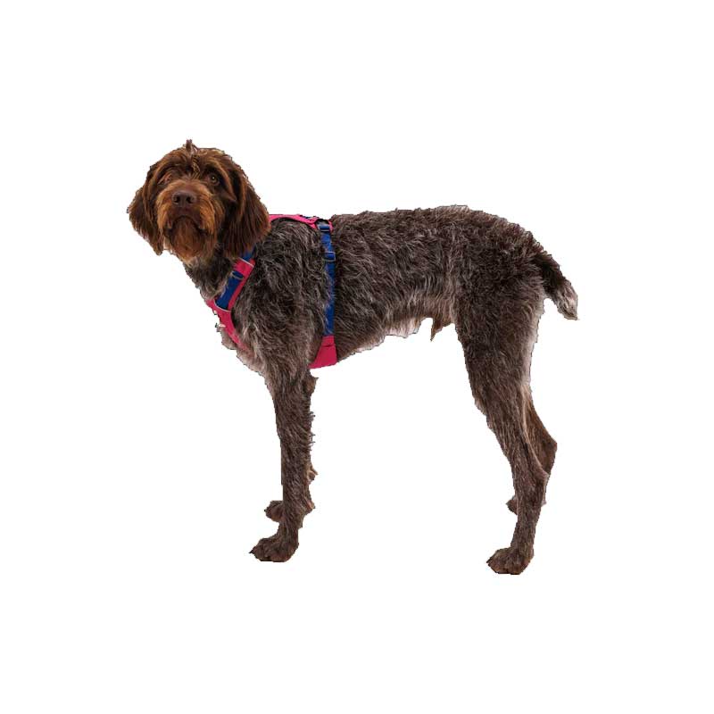 Arnés Ligero "Hi & Light" Ruffwear