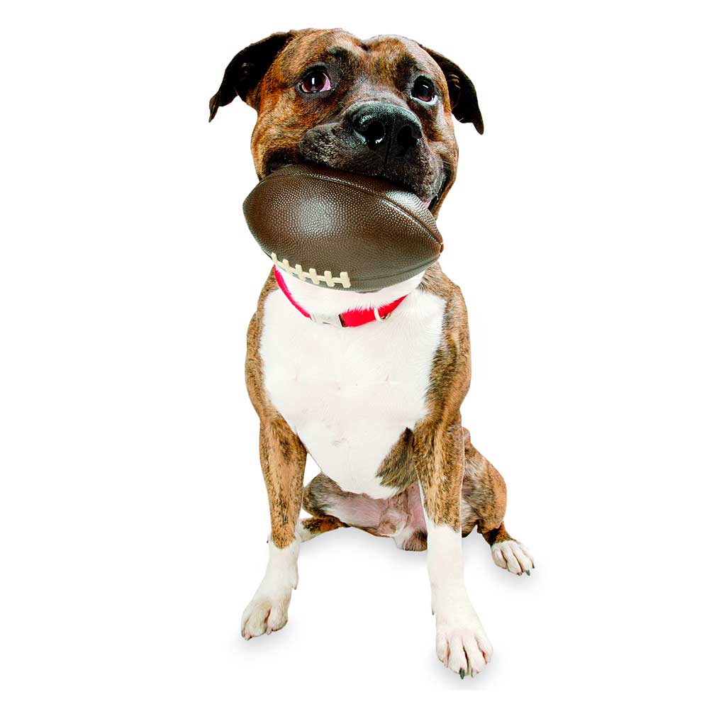 Planet Dog Pelota de Deportes Rugby