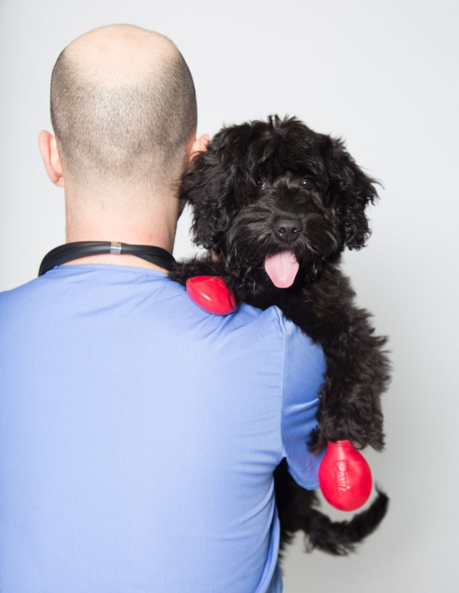 Botas de Goma PawZ Talla Small