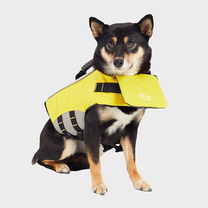 Salvavidas para Perros GF Pet 