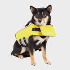Salvavidas para Perros GF Pet 