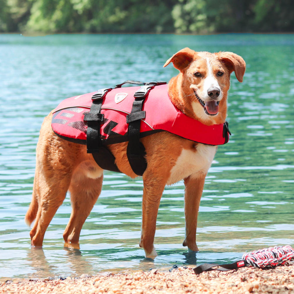 Chaleco Salvavidas "DFD" EzyDog - Rojo / Small