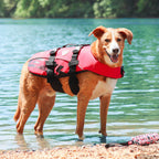 Chaleco Salvavidas "DFD" EzyDog - Rojo / Small