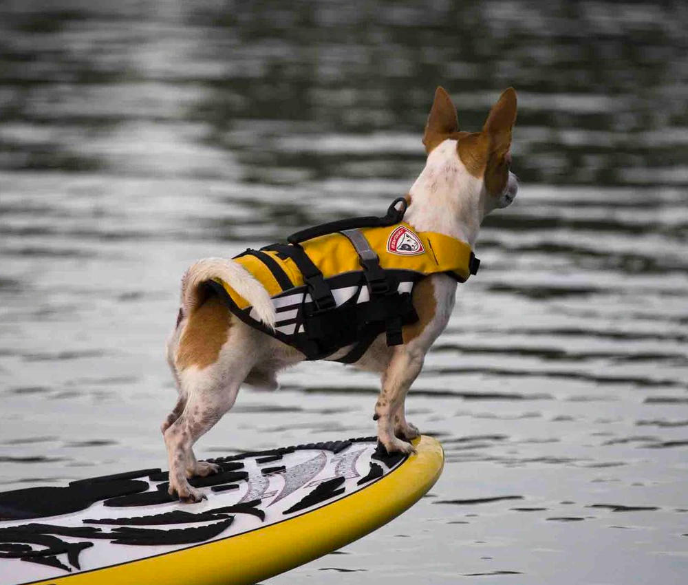 Chaleco Salvavidas "Micro DFD" EzyDog  - Rojo / Micro XS