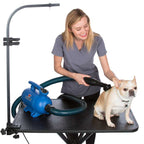 Secador Profesional con Calefactor B-24 XPower