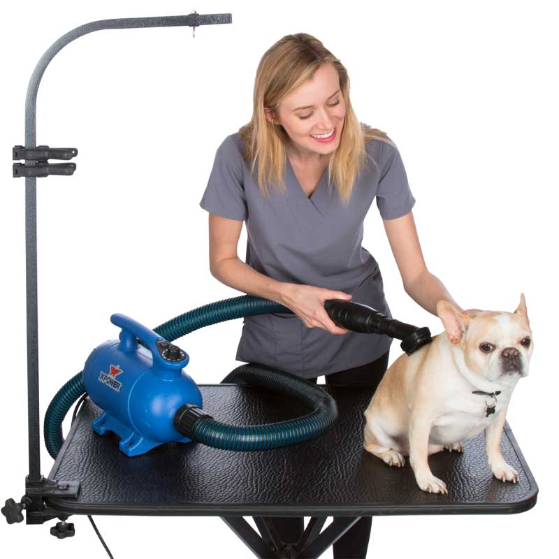 Secador Profesional con Calefactor B-24 XPower