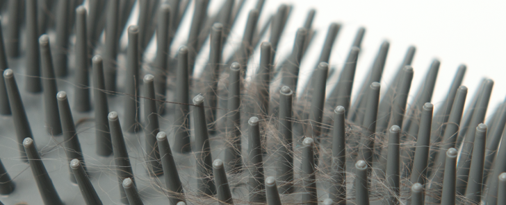 Cepillo de Pared Autoservicio "Self Groomer" con Catnip