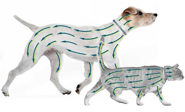 Collar Antiparasitario Seresto