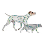 Collar Antiparasitario Seresto Bayer