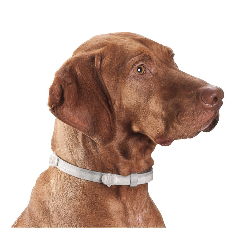 Collar Antiparasitario Seresto Bayer