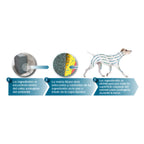 Collar Antiparasitario Seresto Bayer