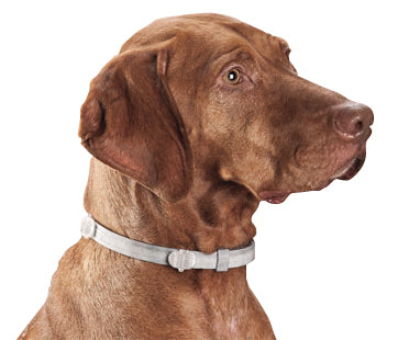 Collar Antiparasitario Seresto