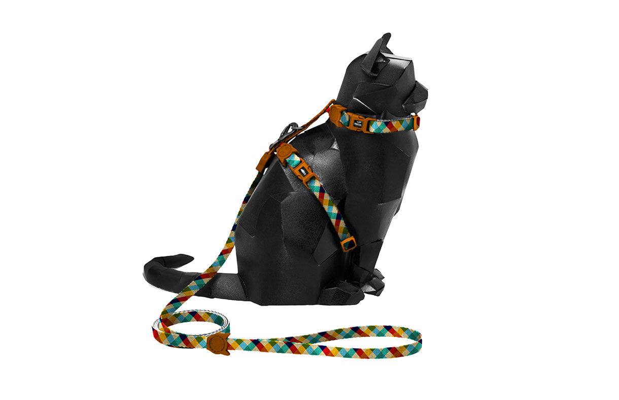 Set Arnés y Correa para Gatos "Phantom" Zee.Cat