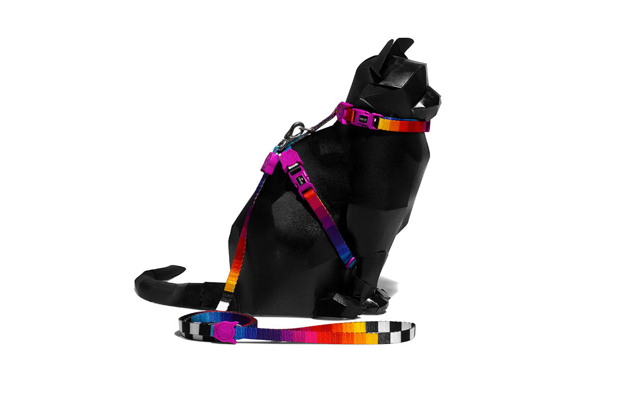 Set Arnés y Correa para Gatos "Prisma" Zee.Cat