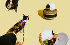 Set Arnés y Correa para Gatos "Prisma" Zee.Cat
