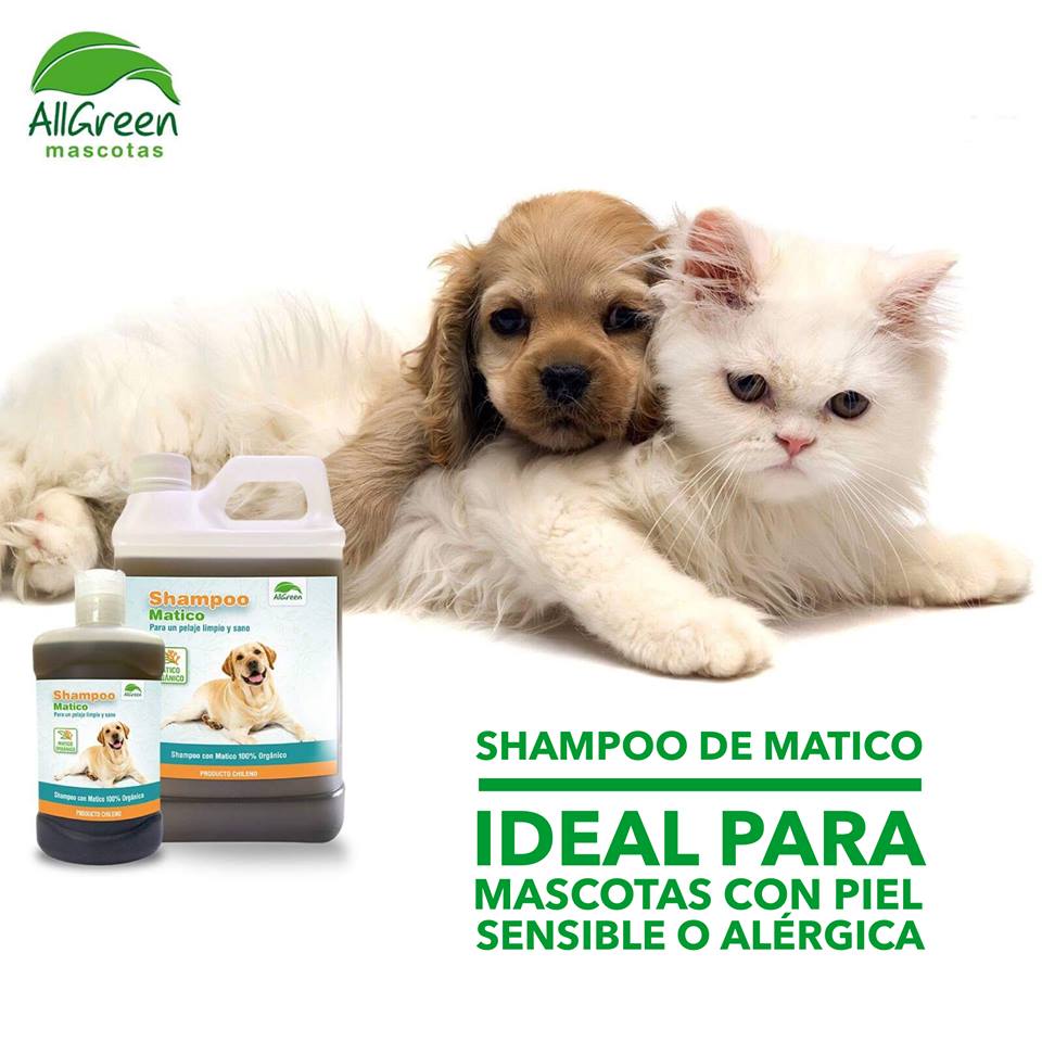 AllGreen Shampoo de Matico Orgánico para Mascotas