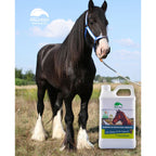 AllGreen Shampoo de Matico Orgánico para Caballos 1000 ml