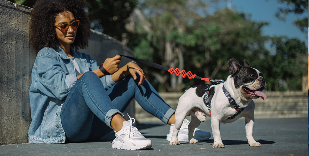 Correa Anti Tirones Ruff "Fatboy" Zee.Dog 