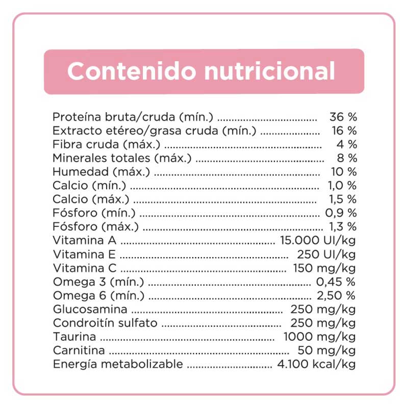 Sieger Katze para Gatitos