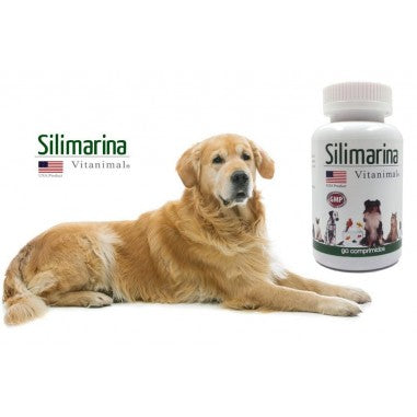 Silimavet Silimarina para Perros y Gatos - 90 comprimidos